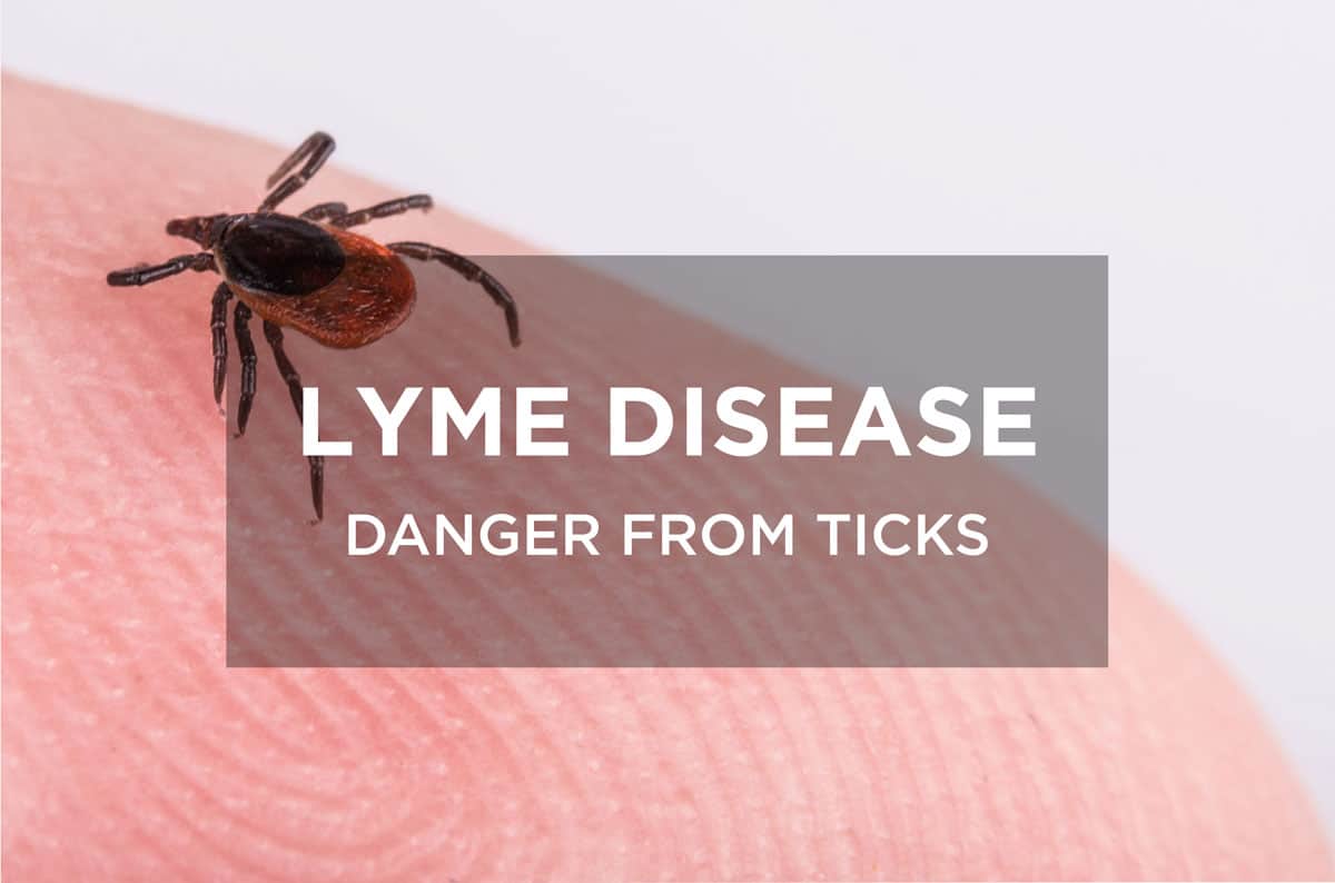 Lyme-disease-02.jpg